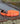 Pumpkin Orange Waterproof Leash