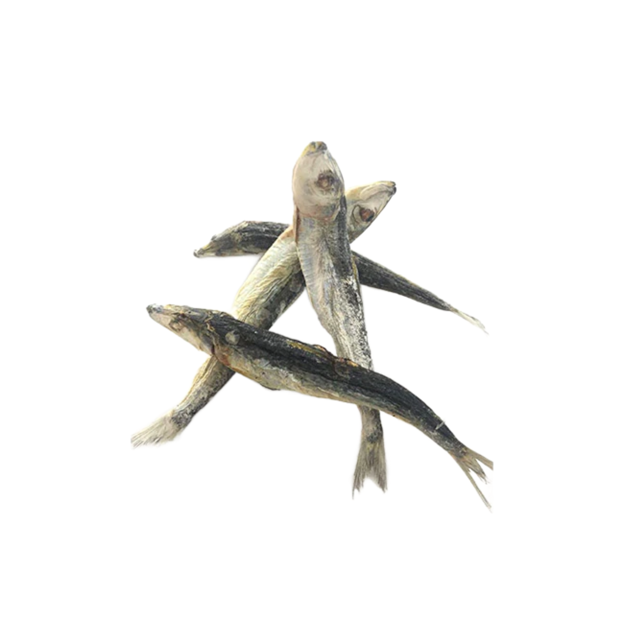 Freeze dried sardines for dogs deals